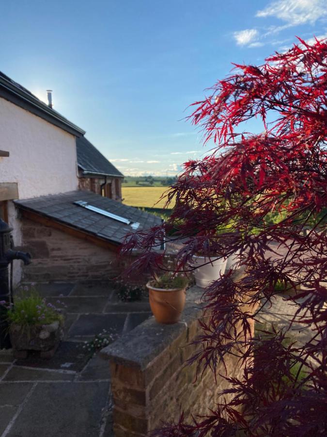 Thatch Close *