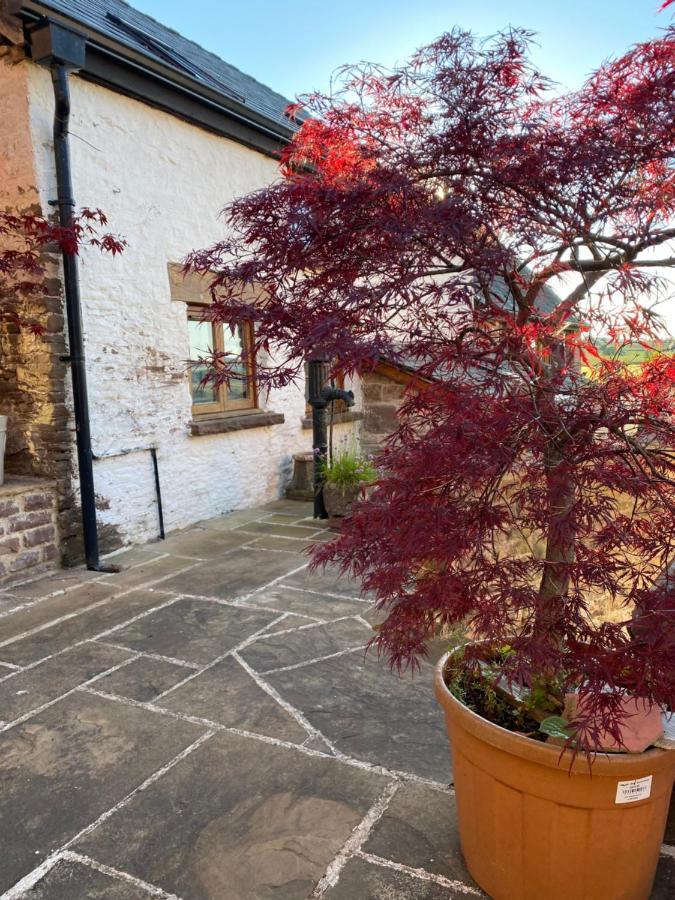Thatch Close